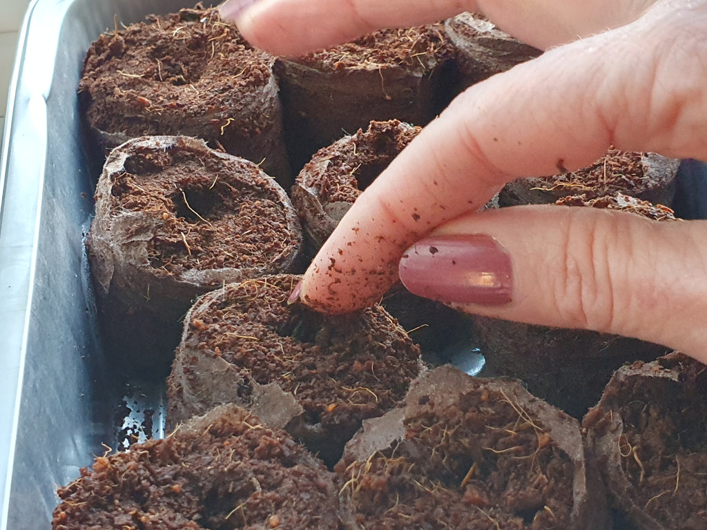 Coir Compost Pellets