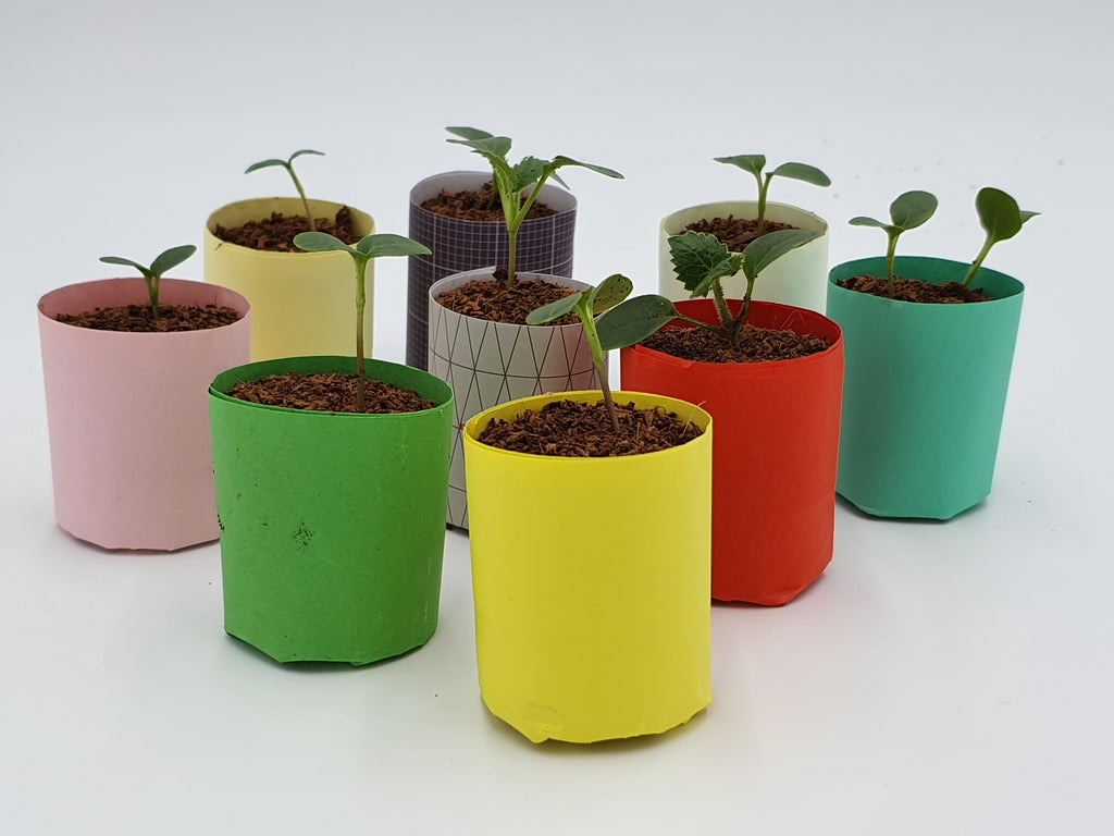 Paper Pot Maker | The Classic Tool for Eco Gardeners