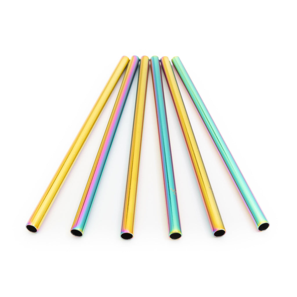 Metal Cocktail Straws - Rainbow - 6 Pack