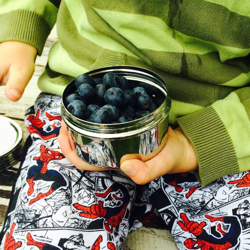 stainless-steel-screw-top-container-blueberries